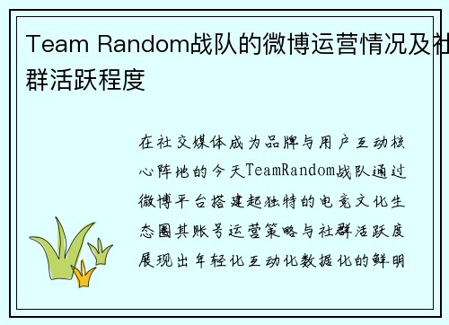Team Random战队的微博运营情况及社群活跃程度