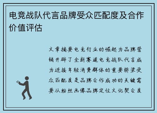 电竞战队代言品牌受众匹配度及合作价值评估